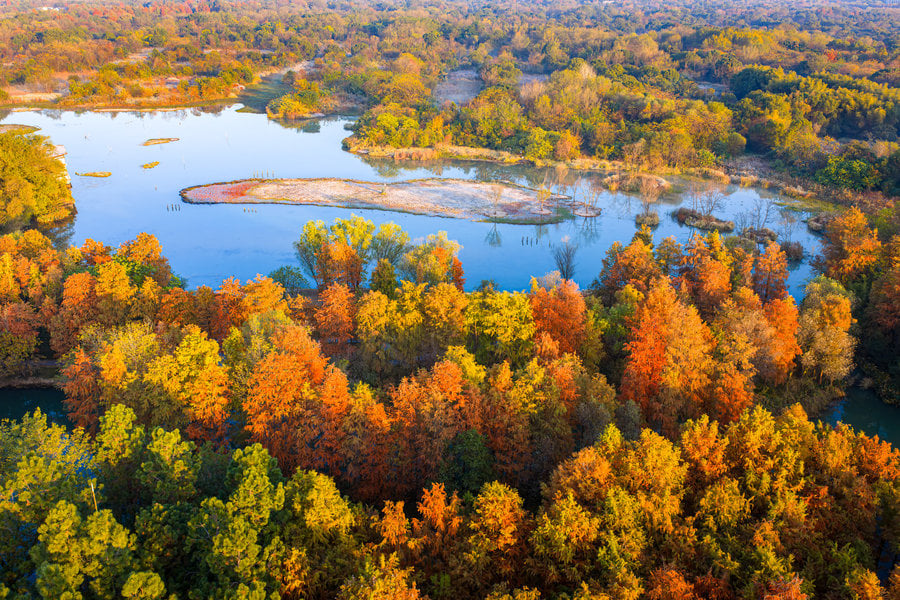 Autumn Scenery at Hangzhou Xixi Wetland
