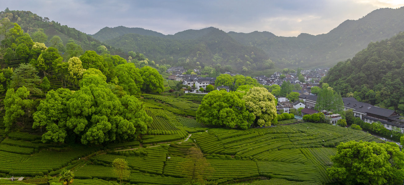 Meijiawu Longjing Tea Plantation, Hangzhou