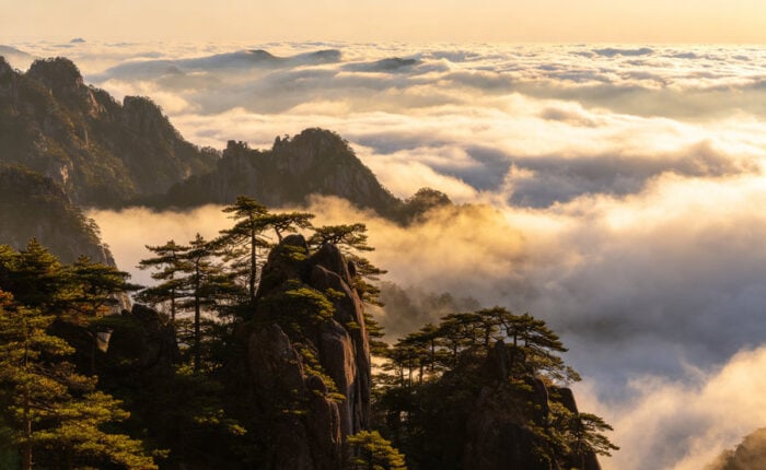 Granite peaks and pine trees above a sea of clouds on Yellow Mountain in Huangshan