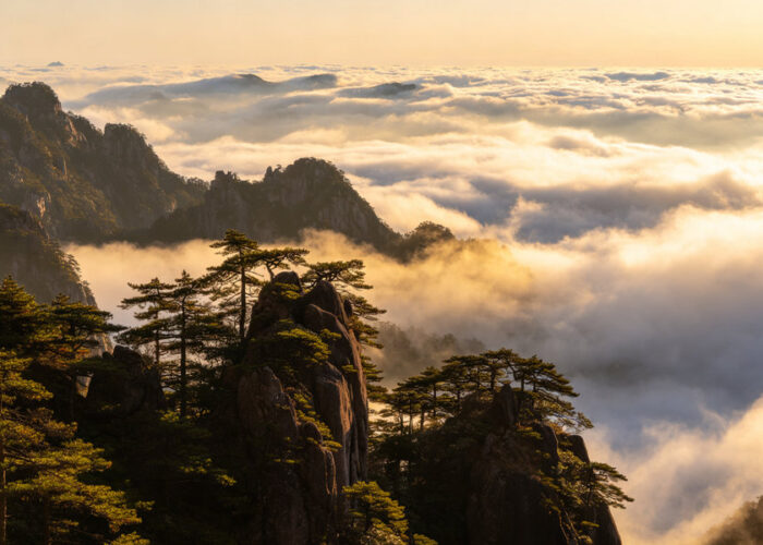 Granite peaks and pine trees above a sea of clouds on Yellow Mountain in Huangshan