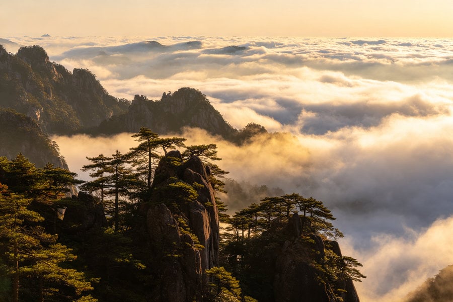 Granite peaks and pine trees above a sea of clouds on Yellow Mountain in Huangshan