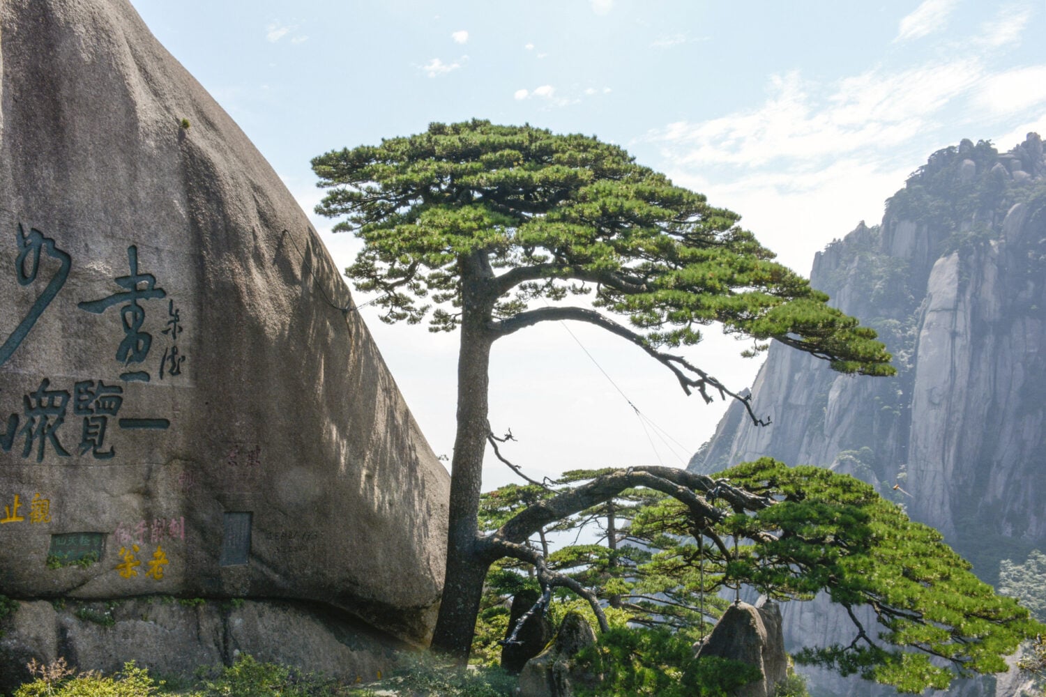 The Guest-Greeting Pine on Huangshan Mountain in Anhui