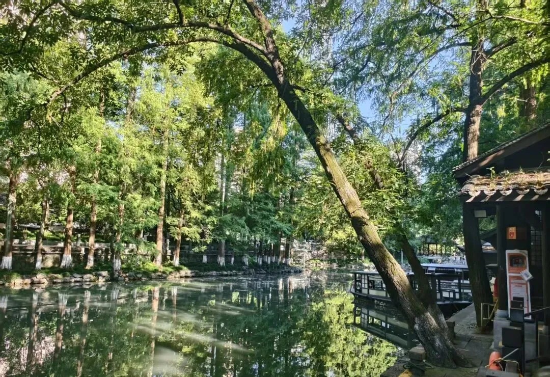 Trees and traditional architecture reflected in the Donghe River