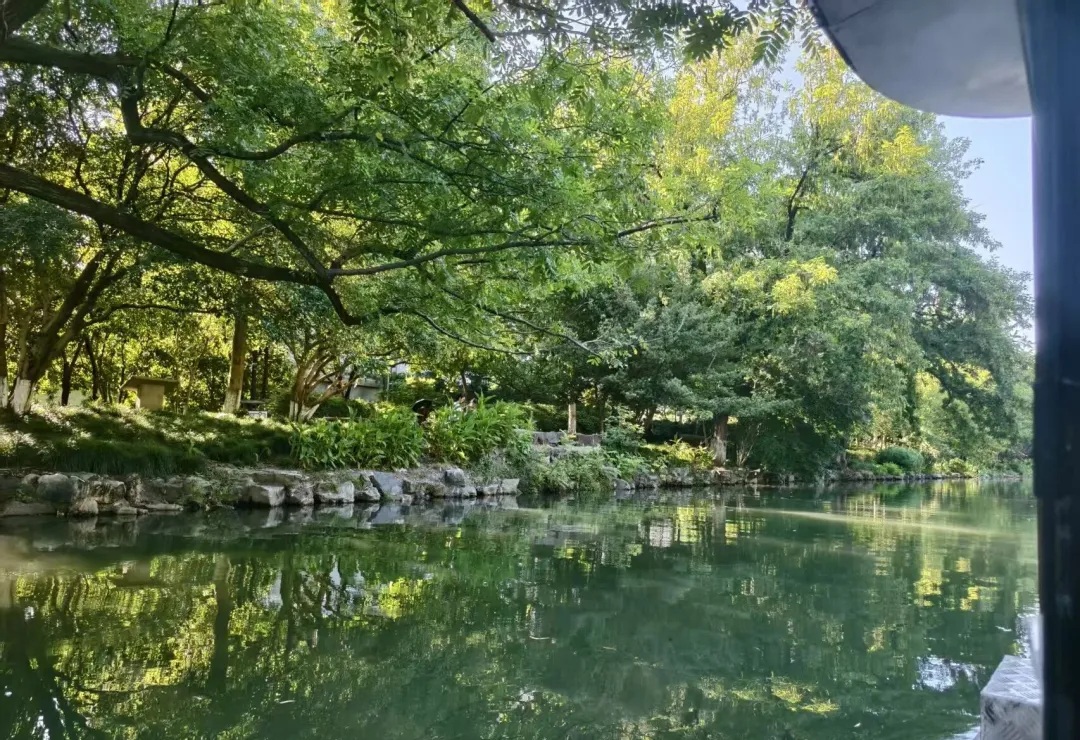 Overhanging willows reflected in the calm waters of the Donghe River
