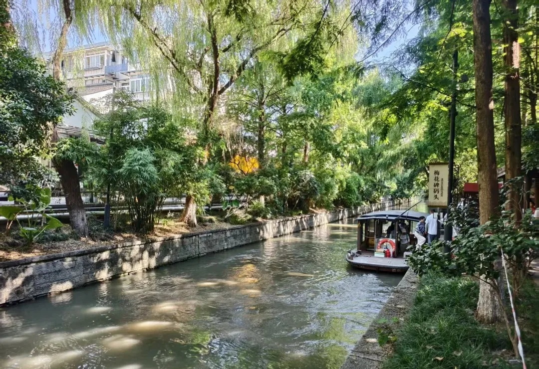 A small passenger boat beside the leafy waterfront in Hangzhou